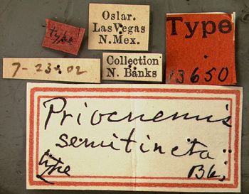 Media type: image;   Entomology 13650 Aspect: labels